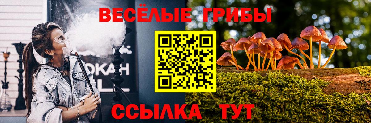 Псилоцибиновые грибы ЛСД Междуреченск
